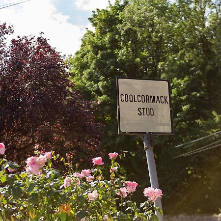 Coolcormack Stud B&B Waterford Exterior foto