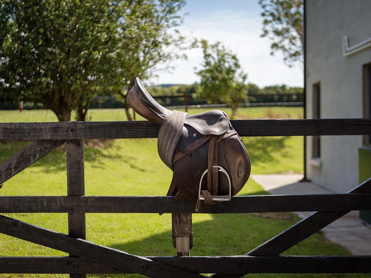 Coolcormack Stud B&B Waterford Exterior foto