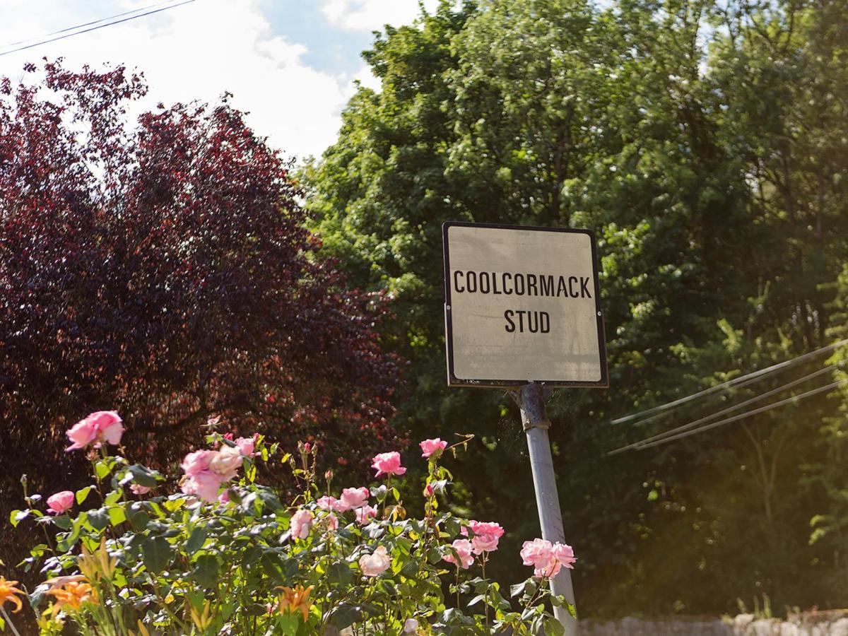 Coolcormack Stud B&B Waterford Exterior foto